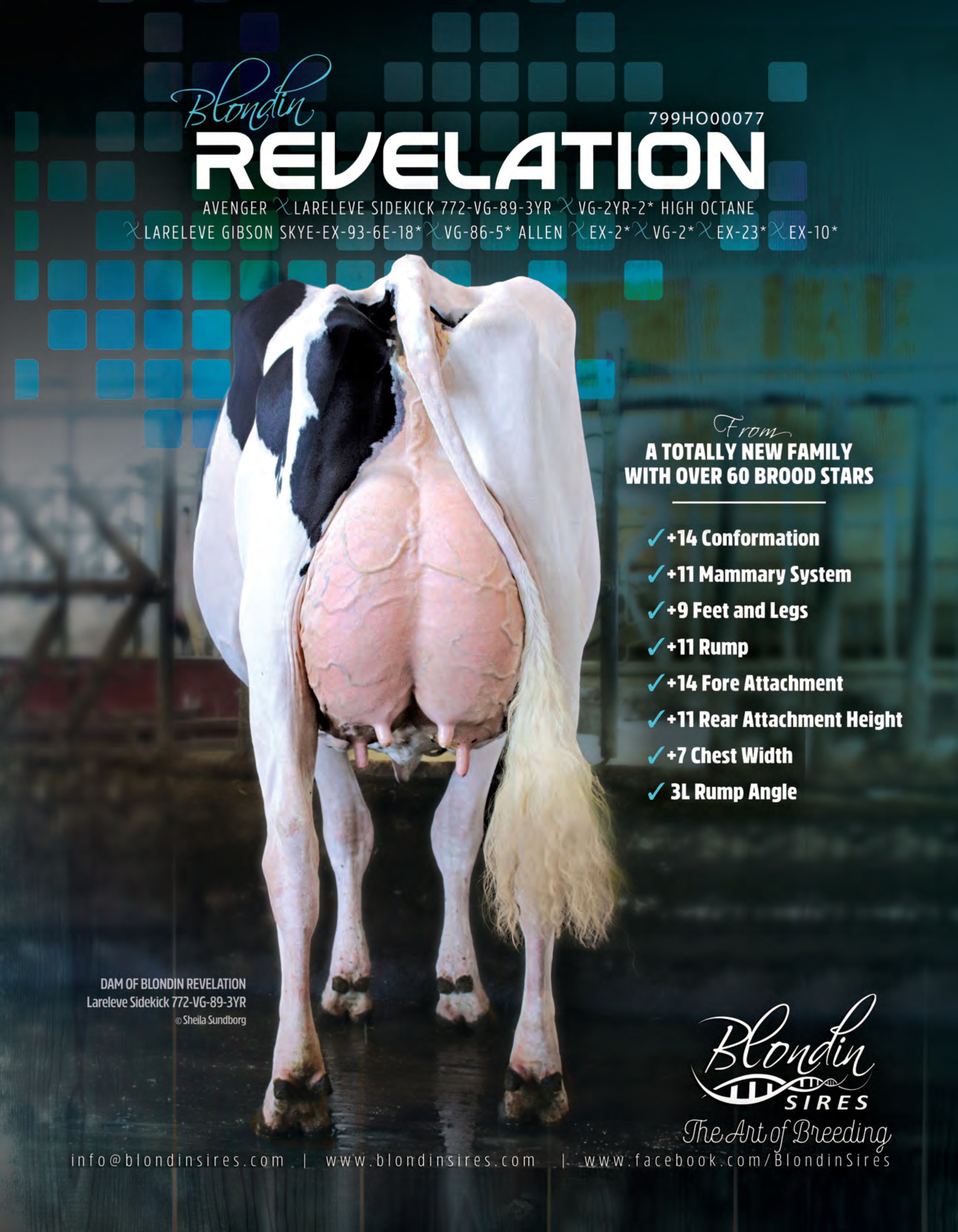 REVELATION — 799HO00077